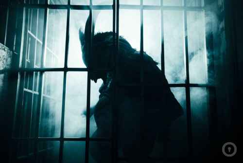 Перформанс Смотри, как они дышат на www.kvestinfo.ru Перформанс Смотри, как они дышат